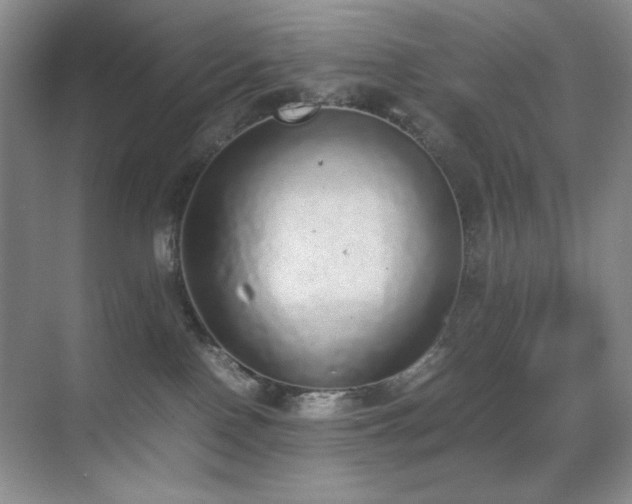 X0000070380090200606091136