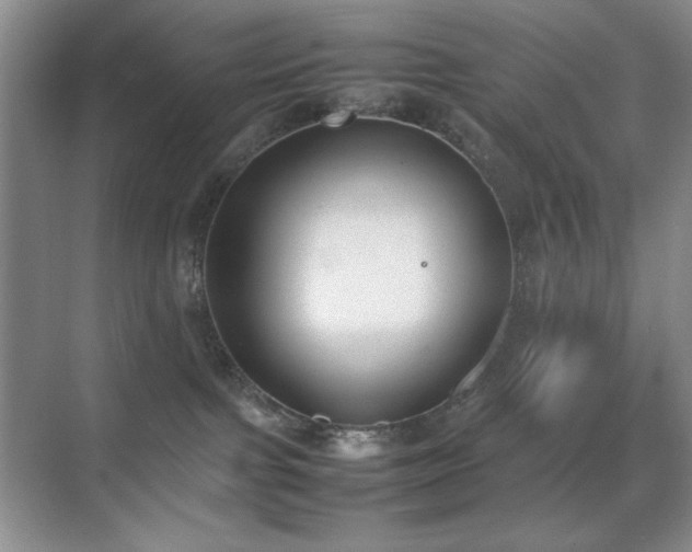 X0000070380091200606091136