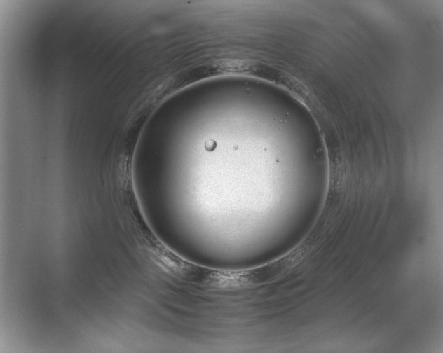 X0000070380093200606091136