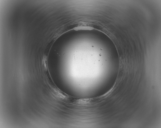 X0000070380094200606091136