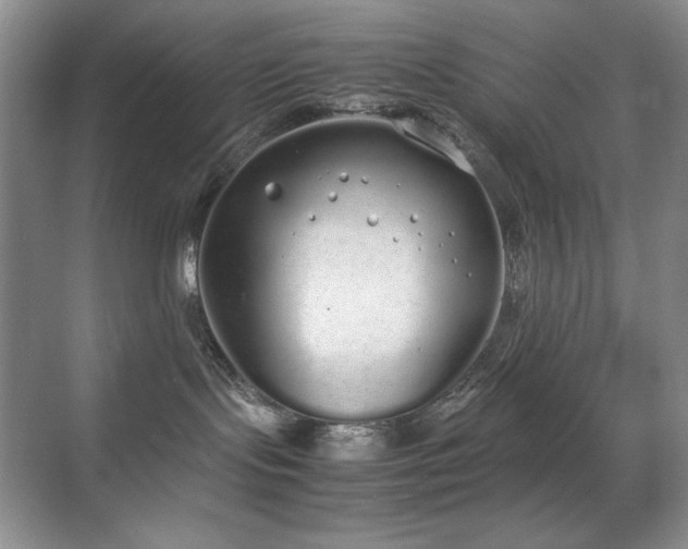 X0000070380095200606091136