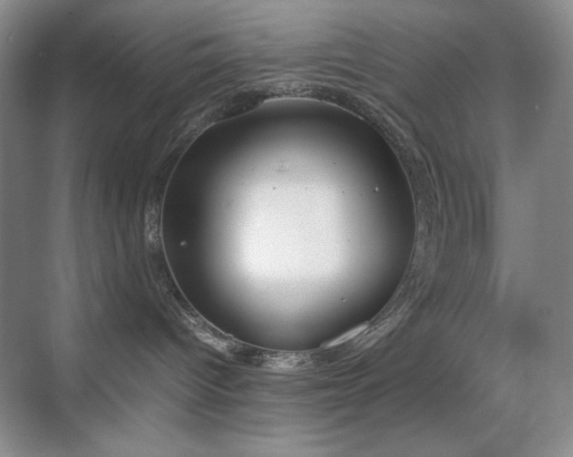 X0000070380096200606091136