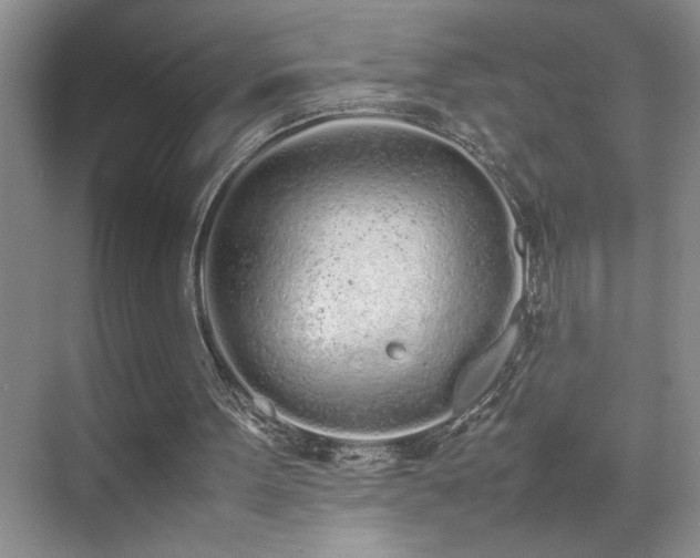 X0000070380099200606091136