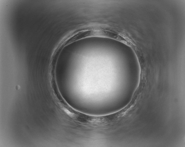 X0000070380101200606091136