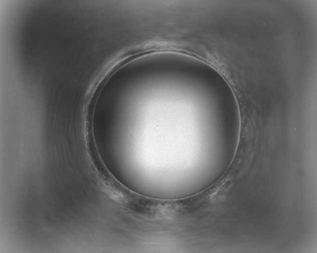 X0000070380103200606091136