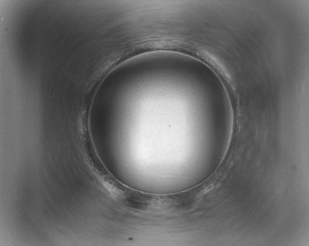 X0000070380105200606091136