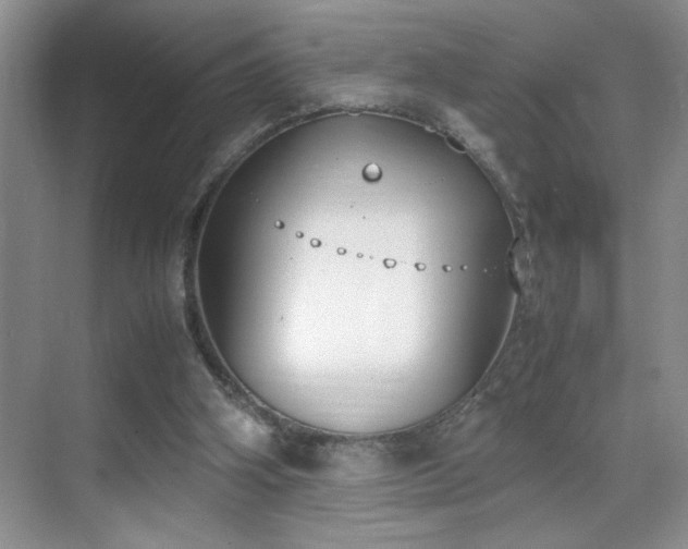 X0000070380106200606091135