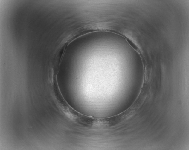 X0000070380109200606091135