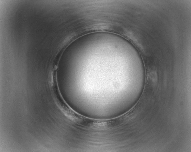 X0000070380110200606091135