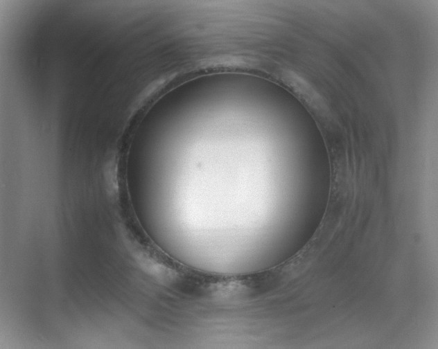 X0000070380112200606091135