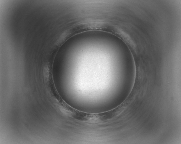 X0000070380113200606091135