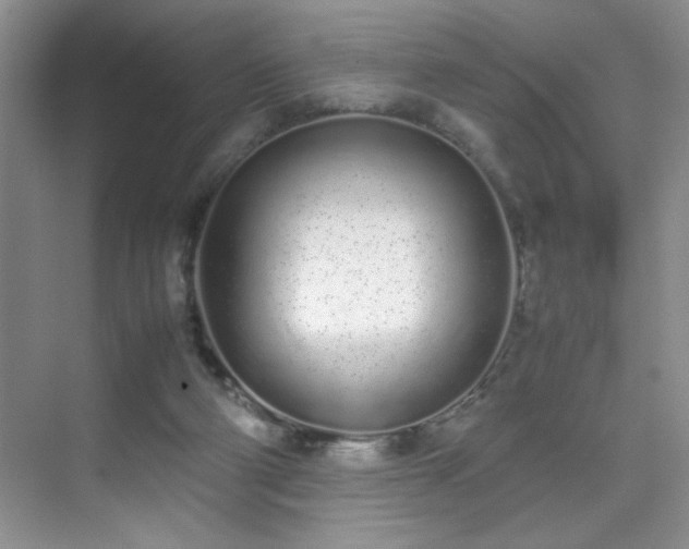 X0000070380114200606091135