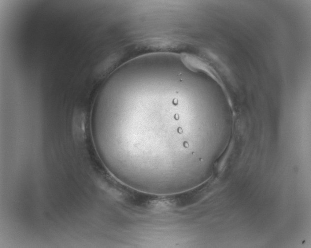 X0000070380115200606091135