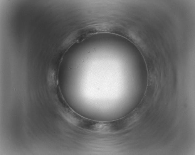 X0000070380117200606091135