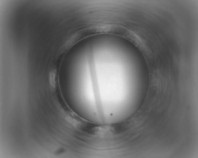 X0000070380118200606091135