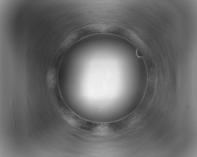 X0000070380119200606091135