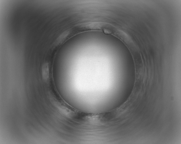 X0000070380120200606091135