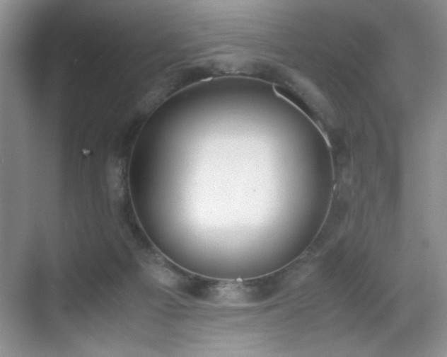 X0000070380121200606091135