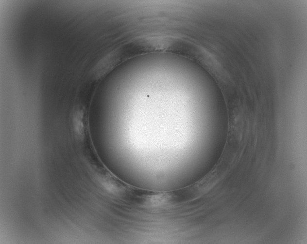 X0000070380122200606091135