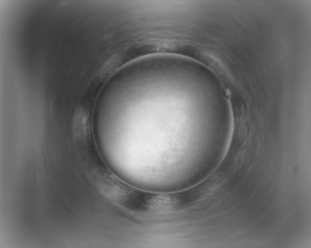 X0000070380123200606091135