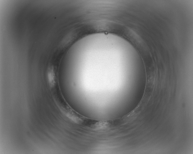 X0000070380124200606091135