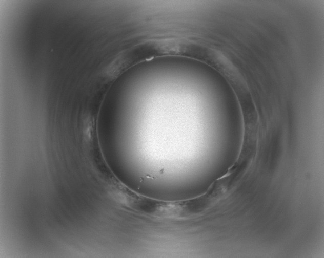 X0000070380125200606091135