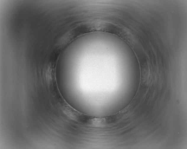 X0000070380126200606091135