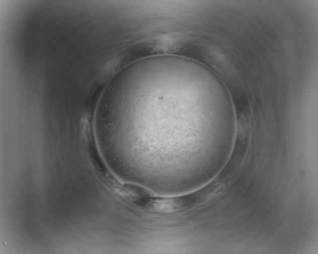 X0000070380127200606091135