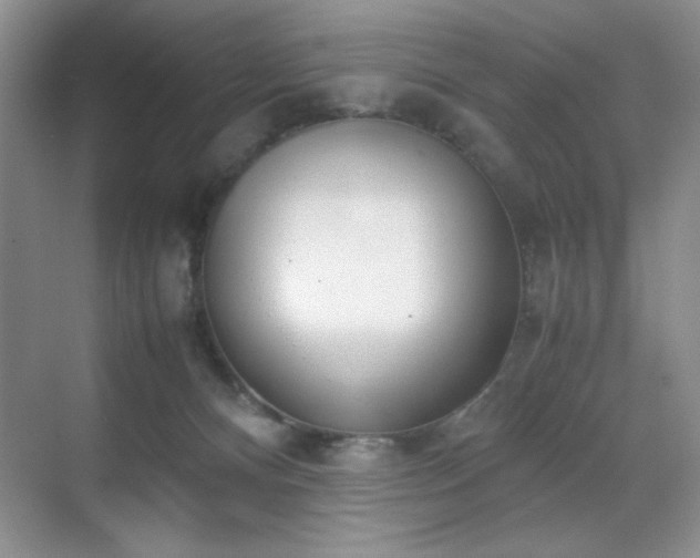 X0000070380128200606091135