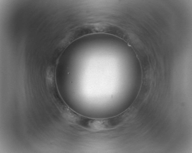 X0000070380129200606091135