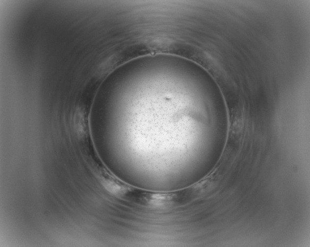 X0000070380130200606091135