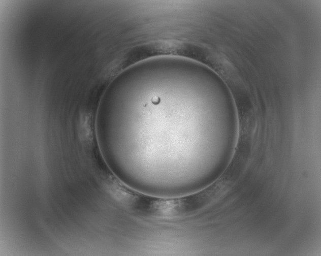 X0000070380131200606091135