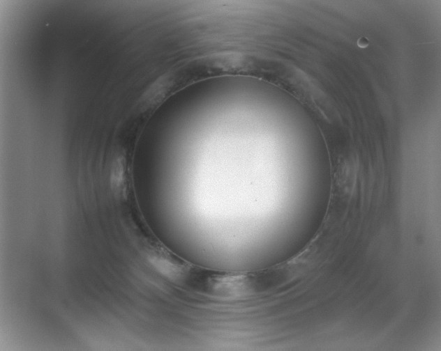 X0000070380132200606091135