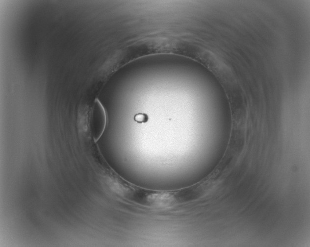 X0000070380133200606091135