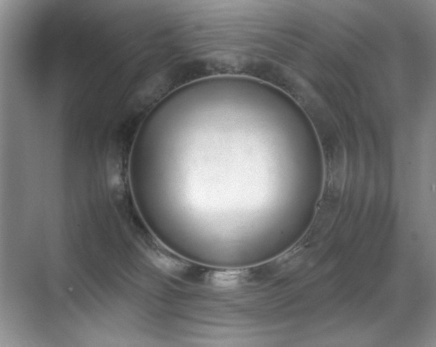 X0000070380134200606091135