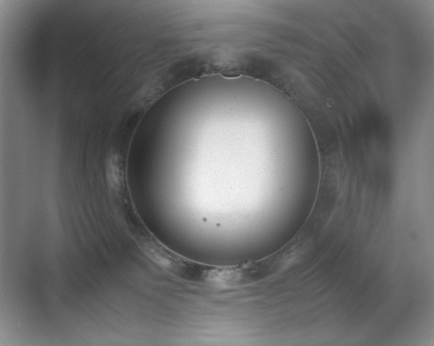 X0000070380135200606091135