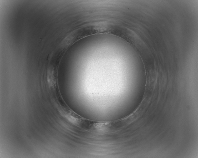 X0000070380136200606091135