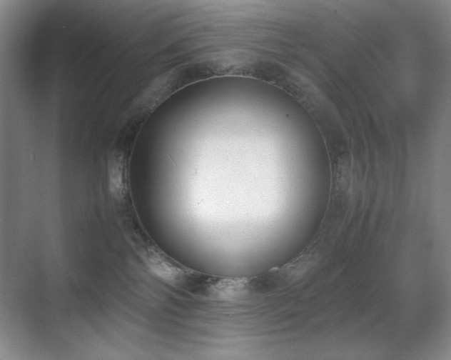 X0000070380138200606091135