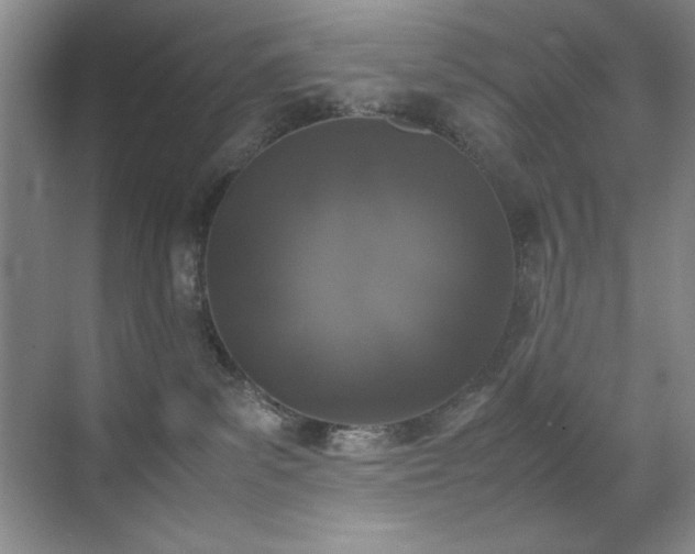 X0000070380139200606091135