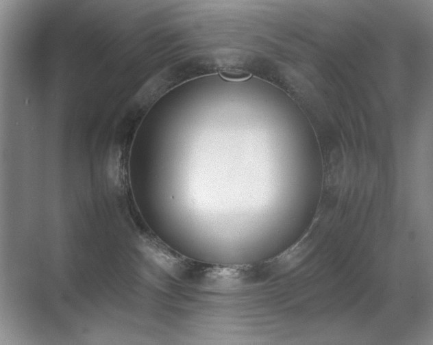 X0000070380140200606091135