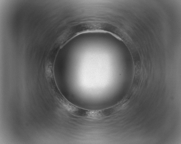 X0000070380141200606091135