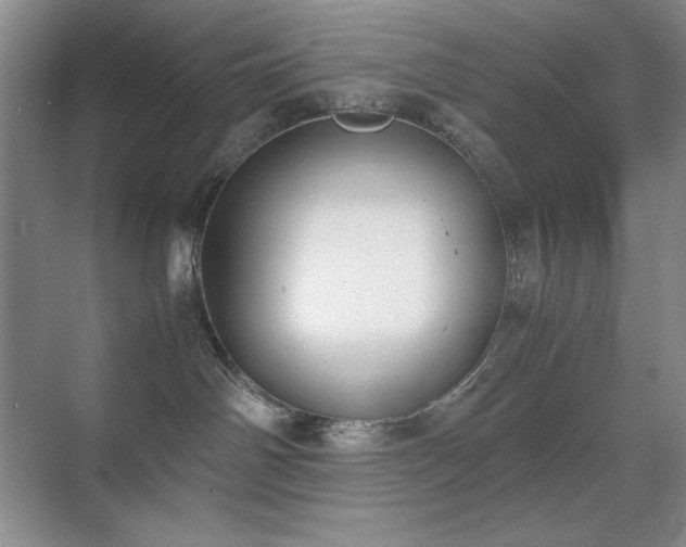 X0000070380142200606091135