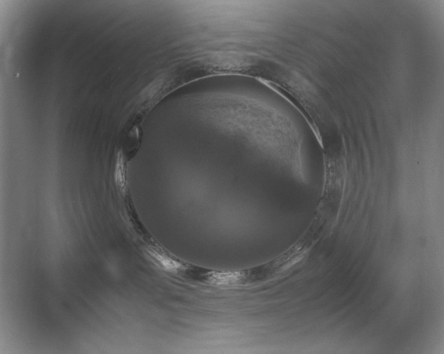 X0000070380143200606091135