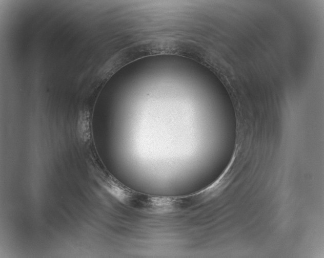 X0000070380144200606091135