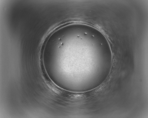 X0000070380151200606091134