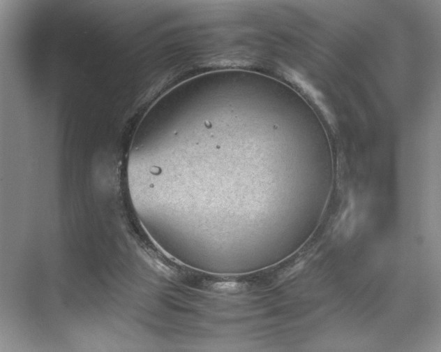 X0000070380153200606091134