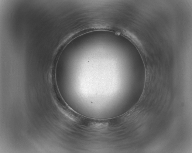 X0000070380155200606091134