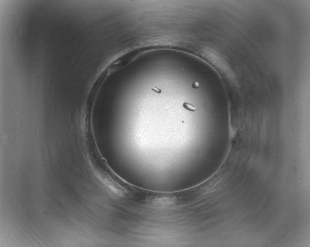 X0000070380156200606091134