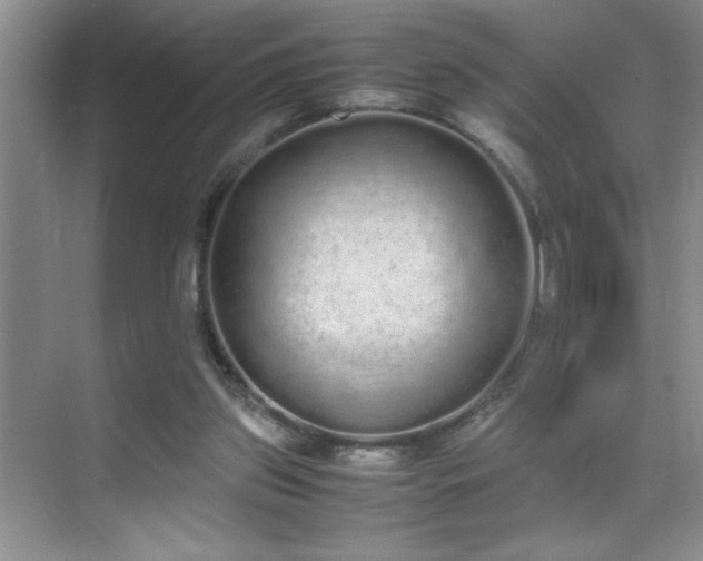 X0000070380157200606091134