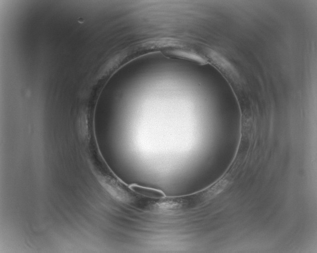 X0000070380158200606091134